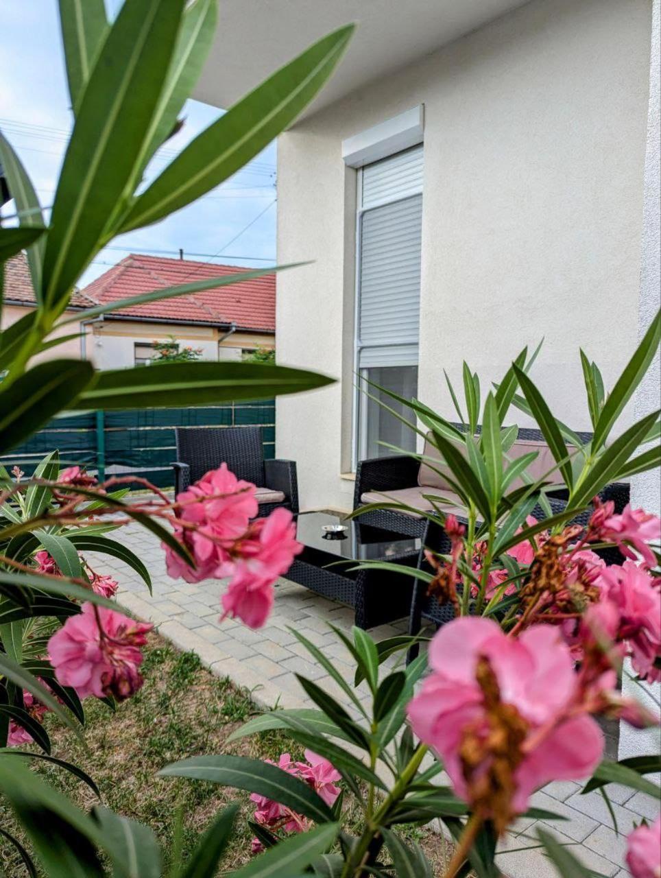 Apartmán Gast Haus Sibiu Exteriér fotografie